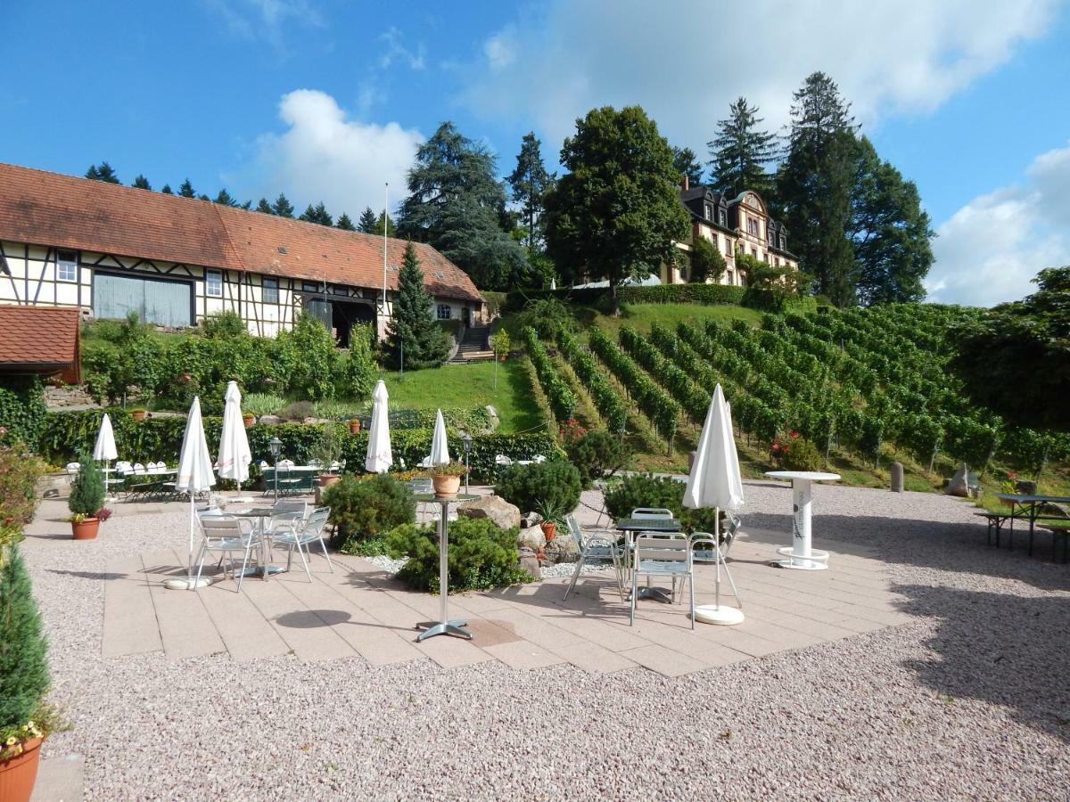 Wein Lodge Durbach - Schlossblick Kültér fotó